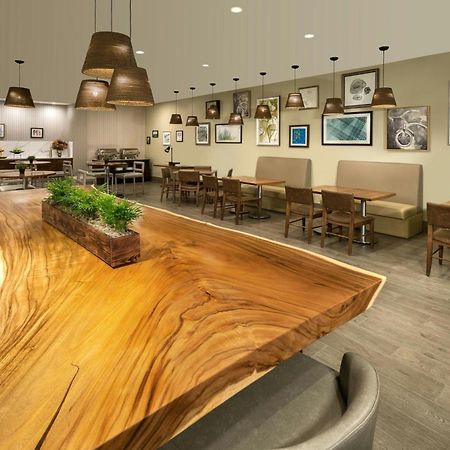 เอลเลเมนต์ โทรอนโตแอร์พอร์ต Hotel มิสซิสซอกา ภายนอก รูปภาพ